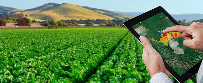 Inteligência artificial para o controle da fertilidade do solo