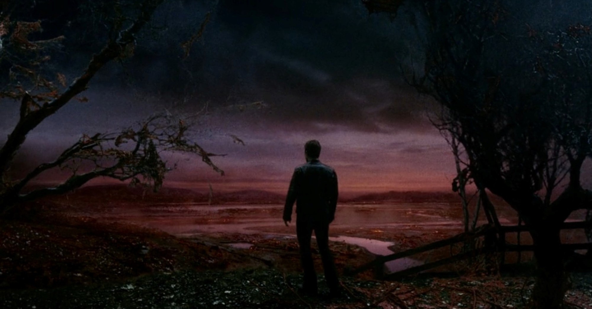 Uma ampla cena da paisagem fica vermelha como Ray, interpretada por Tom Cruise, olha por um campo de vegetação alienígena no cinema de 2005 War of the Worlds. Uma ampla cena da paisagem fica vermelha como Ray, interpretada por Tom Cruise, olha por um campo de vegetação alienígena no cinema de 2005 War of the Worlds.