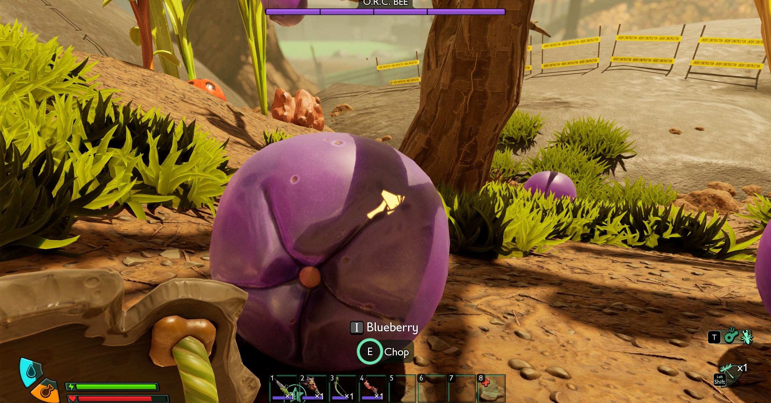 Um mirtilo em 2 fundamentado Um mirtilo em 2 fundamentado