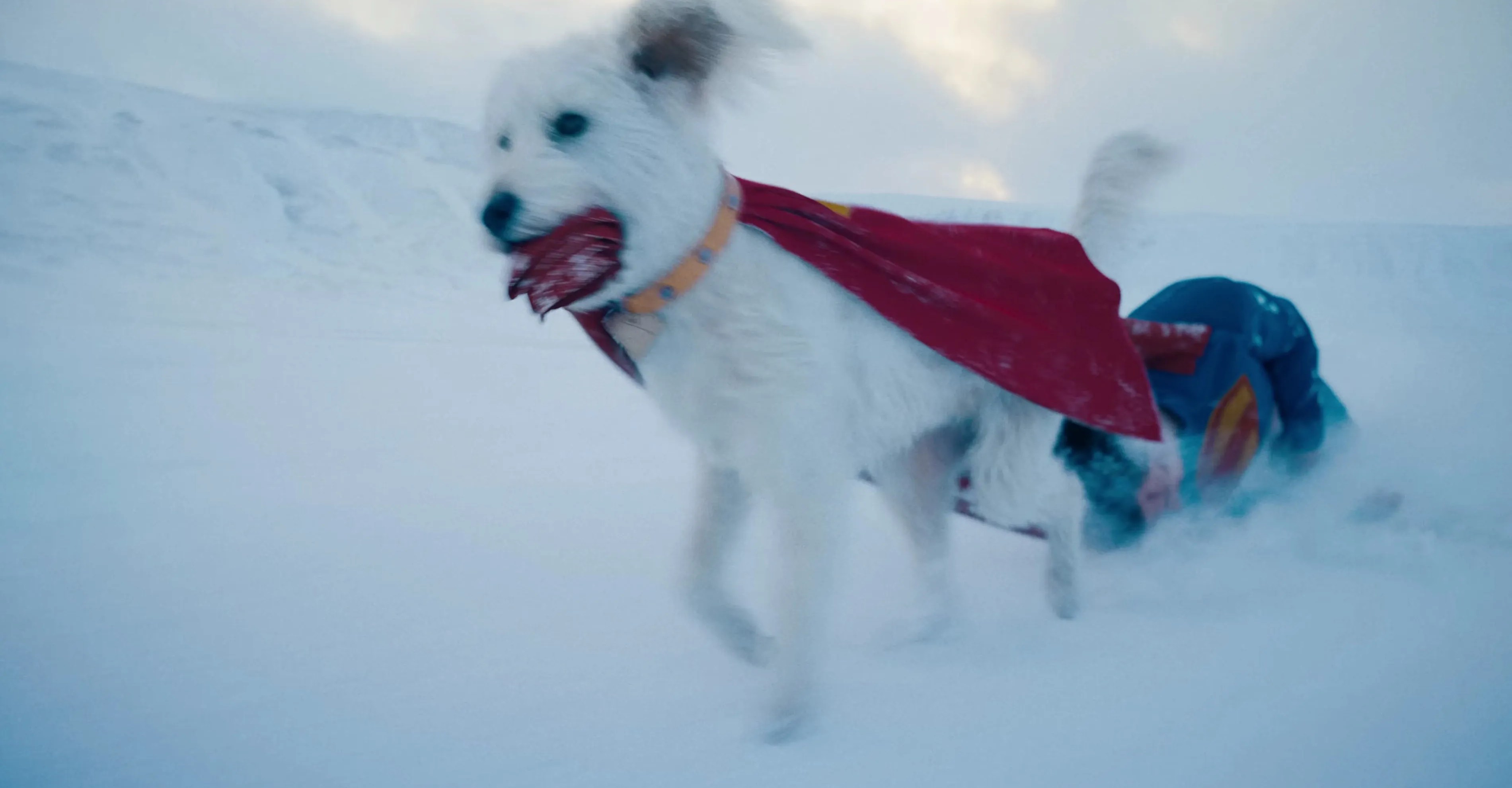 Krypto arrasta o Superman 2025 pelo gelo Krypto arrasta o Superman 2025 pelo gelo