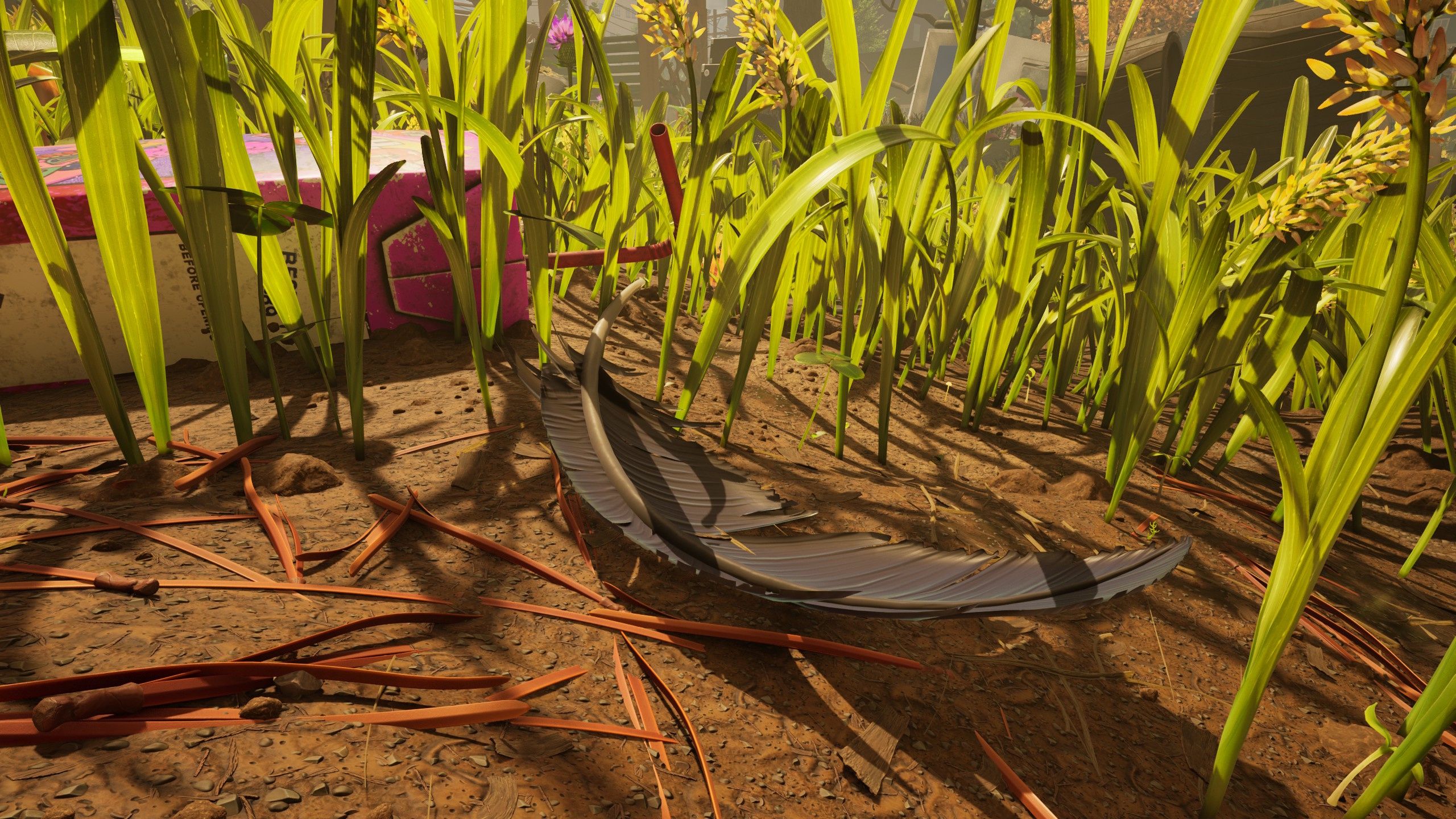 Uma pena de corvo em 2 chão