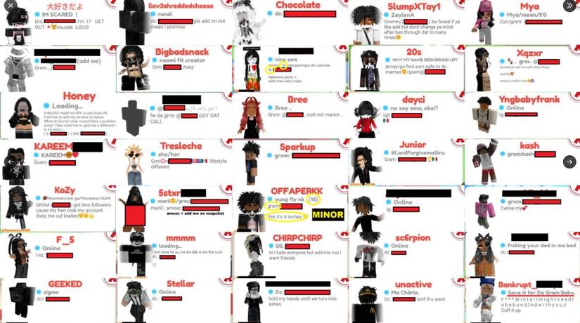 Uma coleção de biografias de jogadores em Meep City, um controverso jogo de Roblox conhecido por ser um hub de namoro cheio de conteúdo inadequado. 