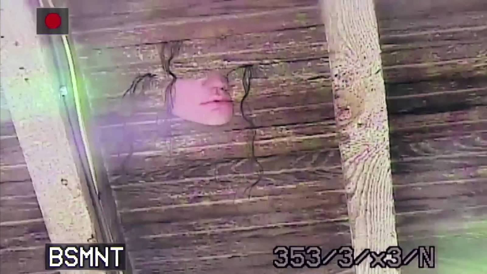 Um piso de madeira de aparência artificial com o nariz e a boca de uma garota e pedaços de cabelo que se projeta nesta casa tem pessoas