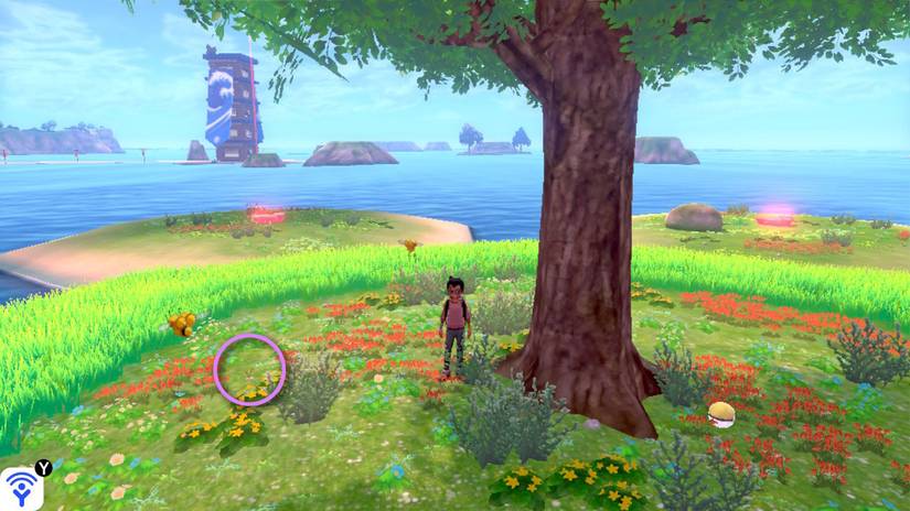 Localização e mapa de Pokémon Sword and Shield: Isle of Armor Diglett
