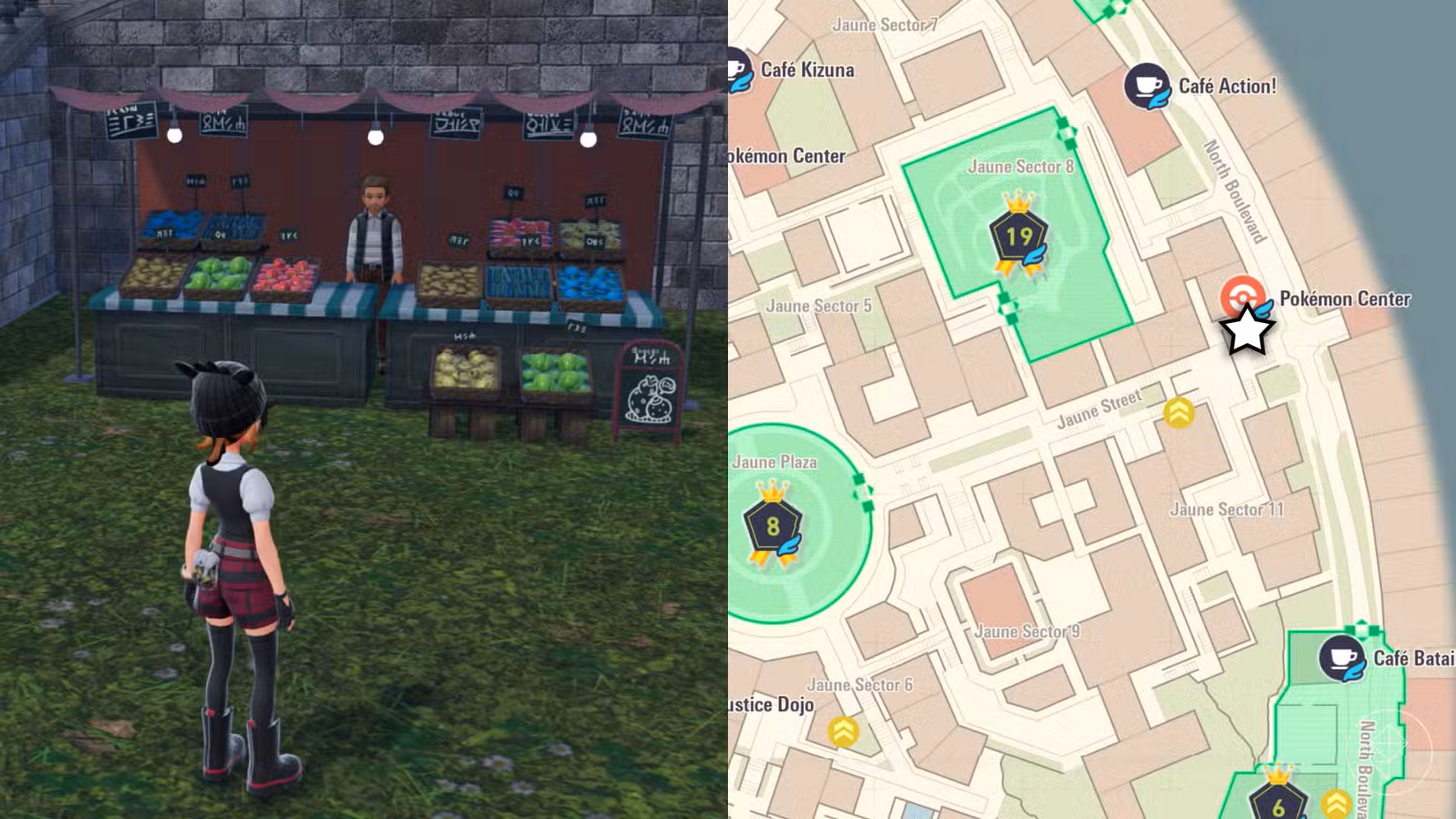 Um treinador Pokémon está em frente a uma barraca de frutas silvestres no North Boulevard.