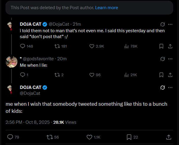 Doja Cat, insinuando sarcasticamente que não pretendia fazer referência a um brinquedo adulto por meio da conta Fortnite X.