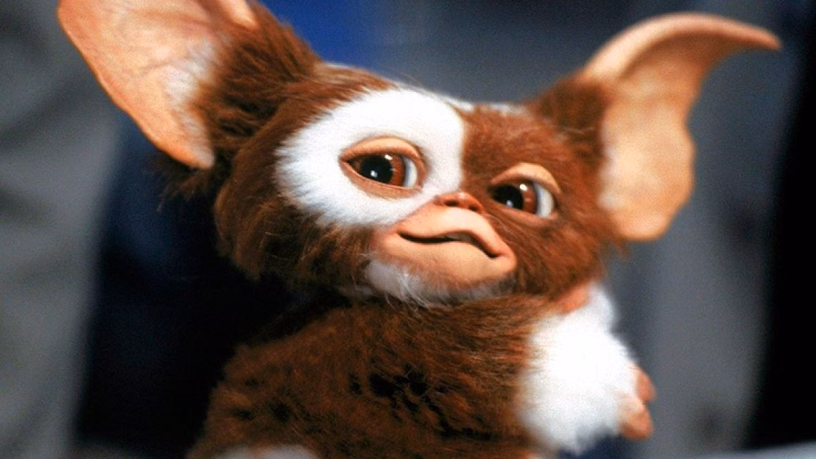 Gizmo de Gremlins (1984)