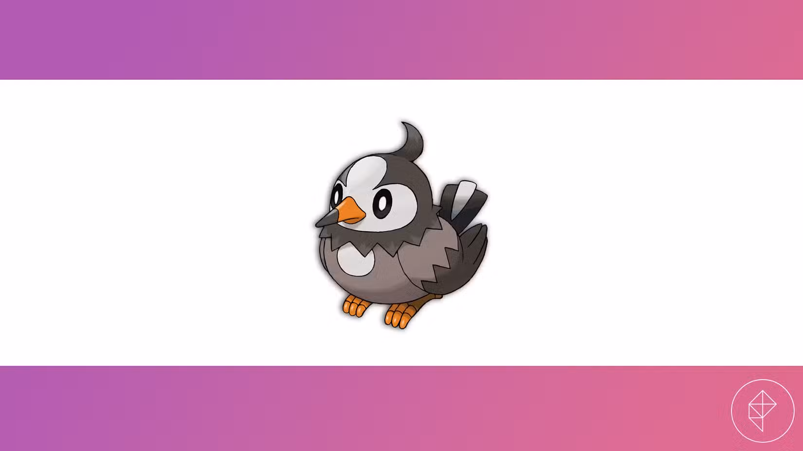 Estrelado contra um fundo rosa e branco