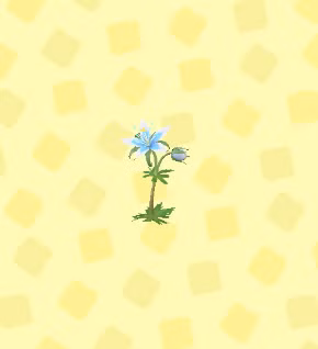 Uma flor semelhante a um lírio azul e branco em ACNH