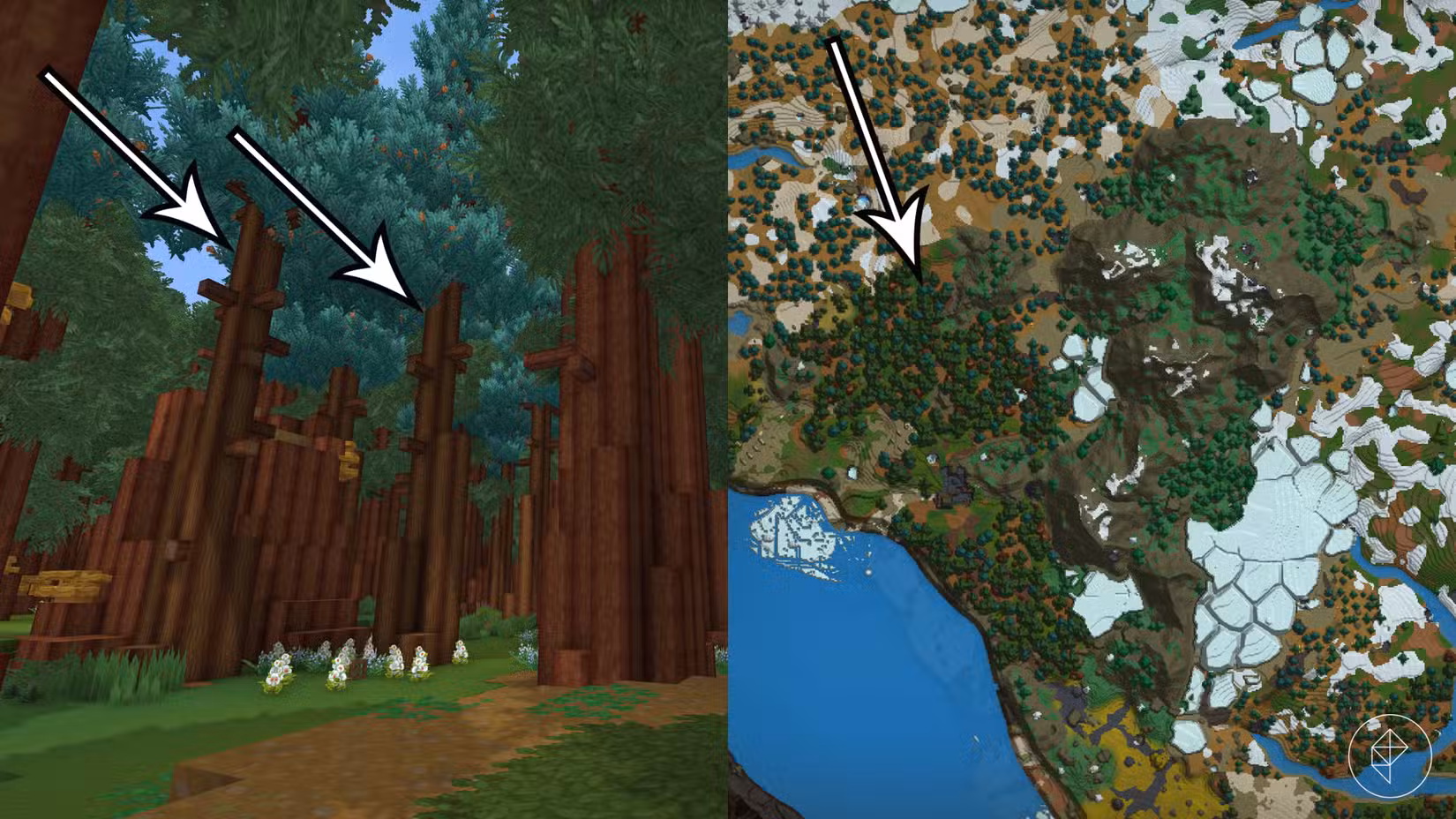 Uma floresta com cedro e sequóias em Hytale.