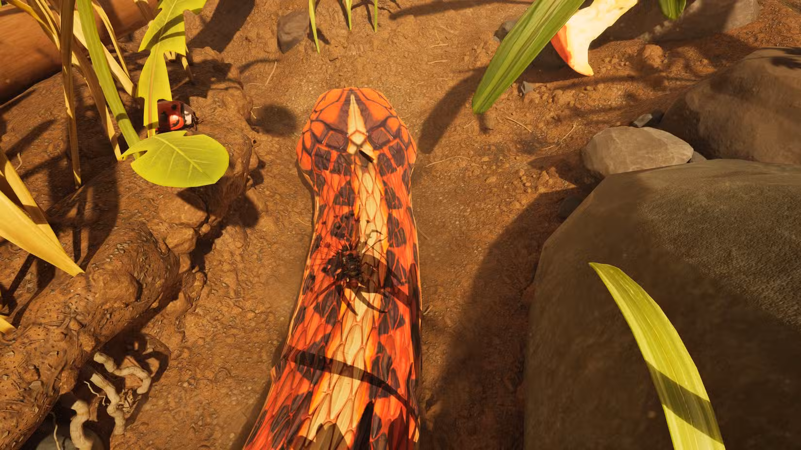 Uma vista superior da cobra em Grounded 2