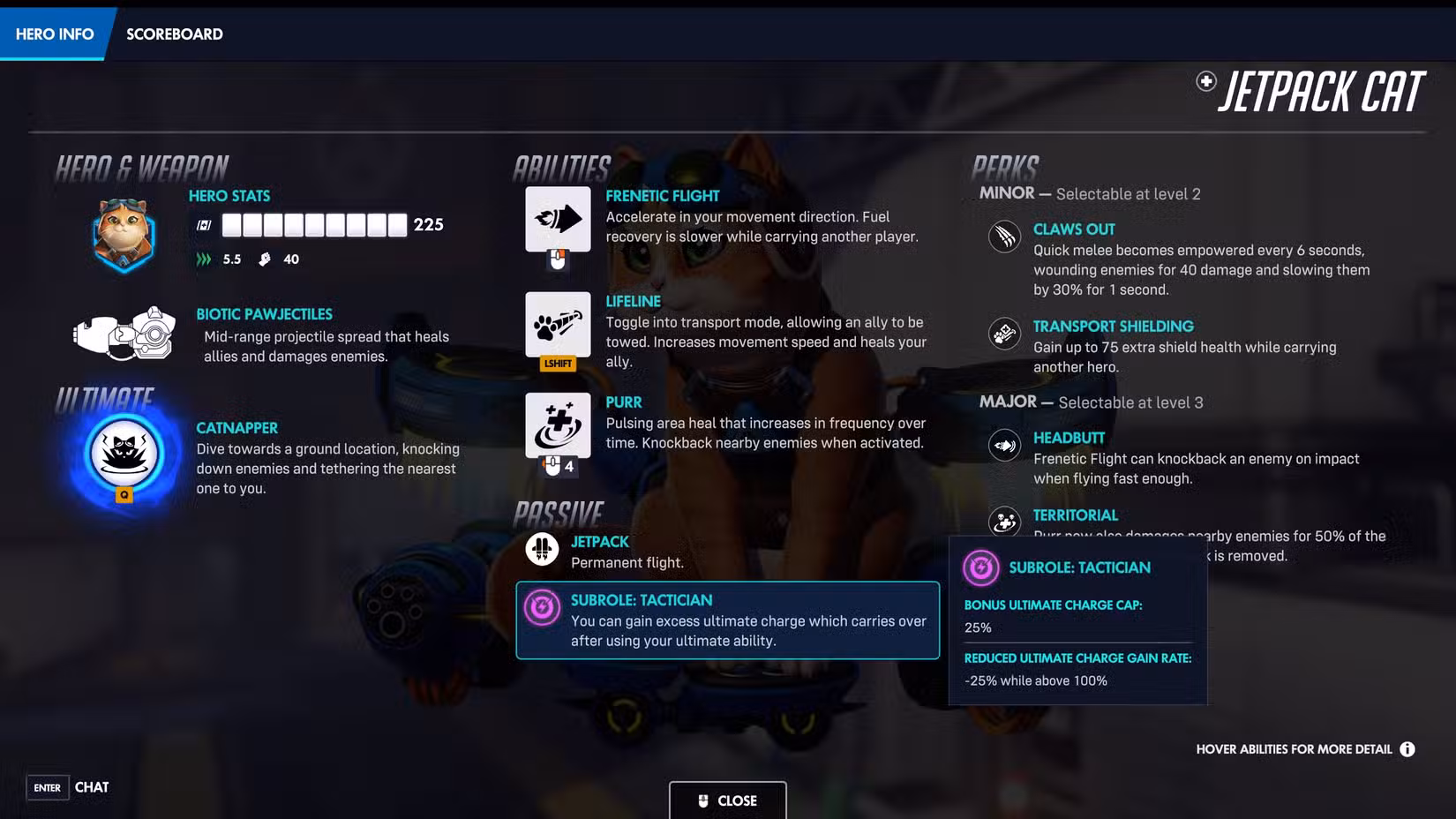 Kit Jetpack para gatos