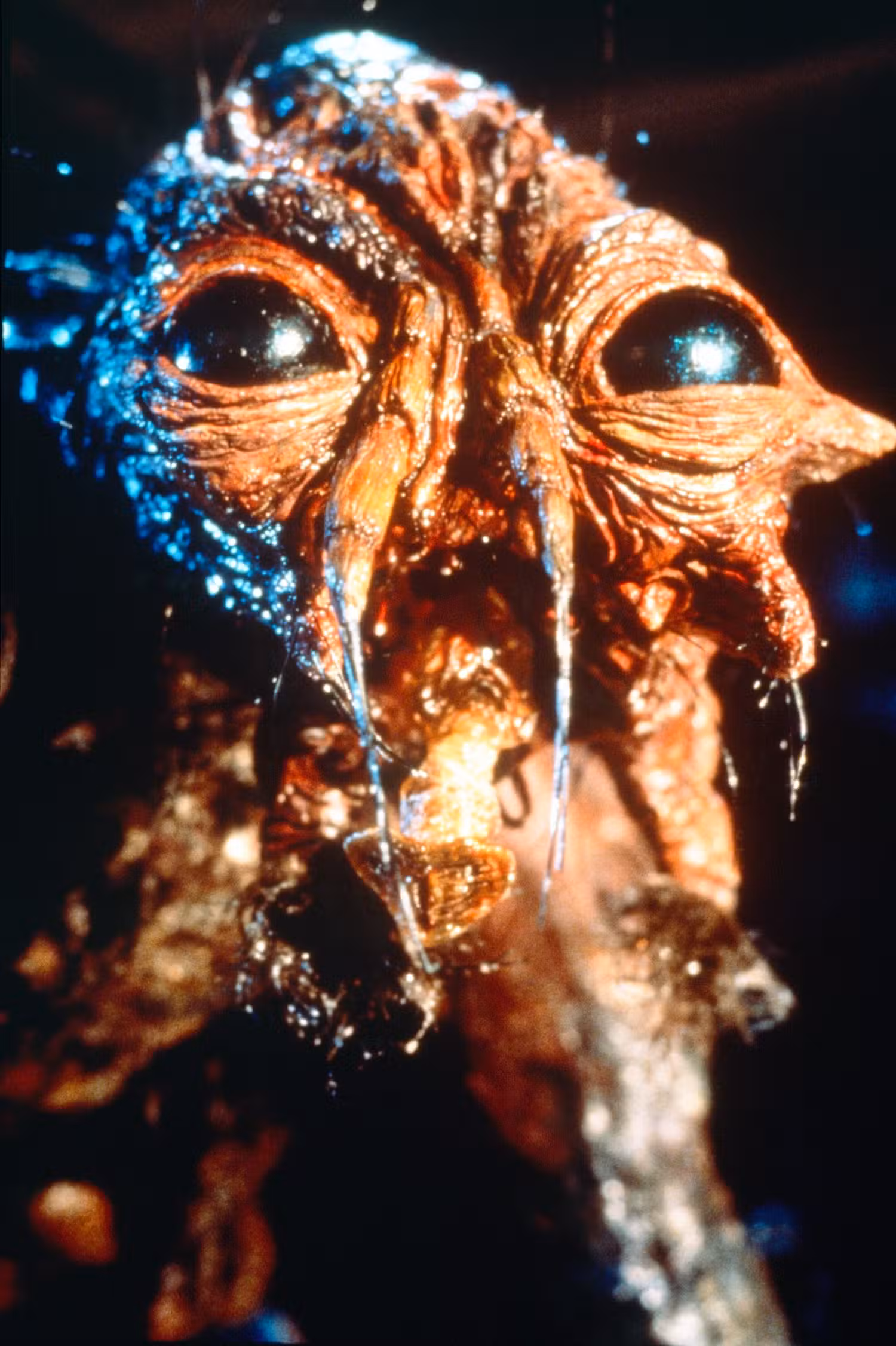 Um monstro humano/mosca nojento e mutante aparece com amor em The Fly, de David Cronenberg