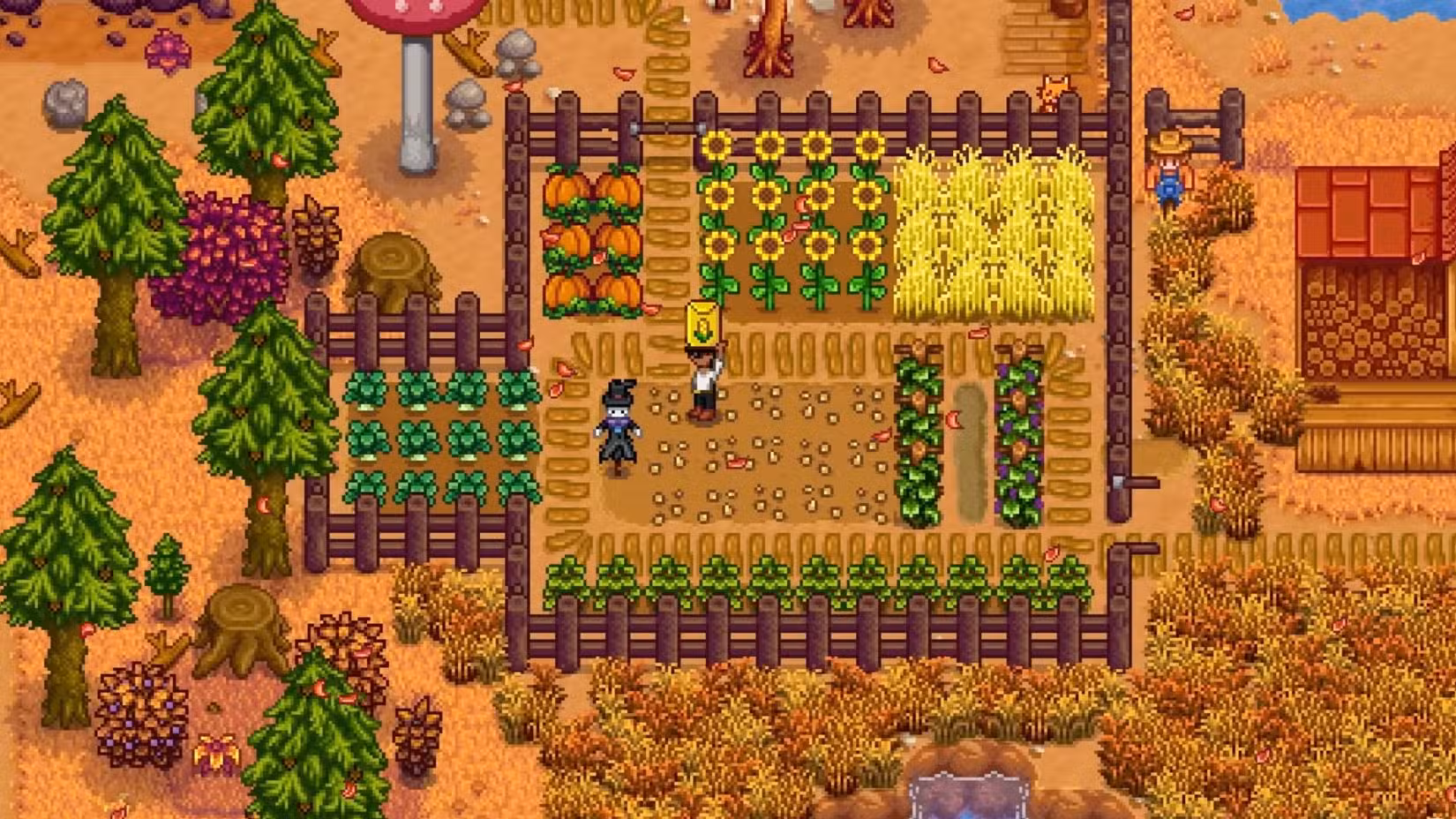 Um campo de colheitas de outono, visto em Stardew Valley.