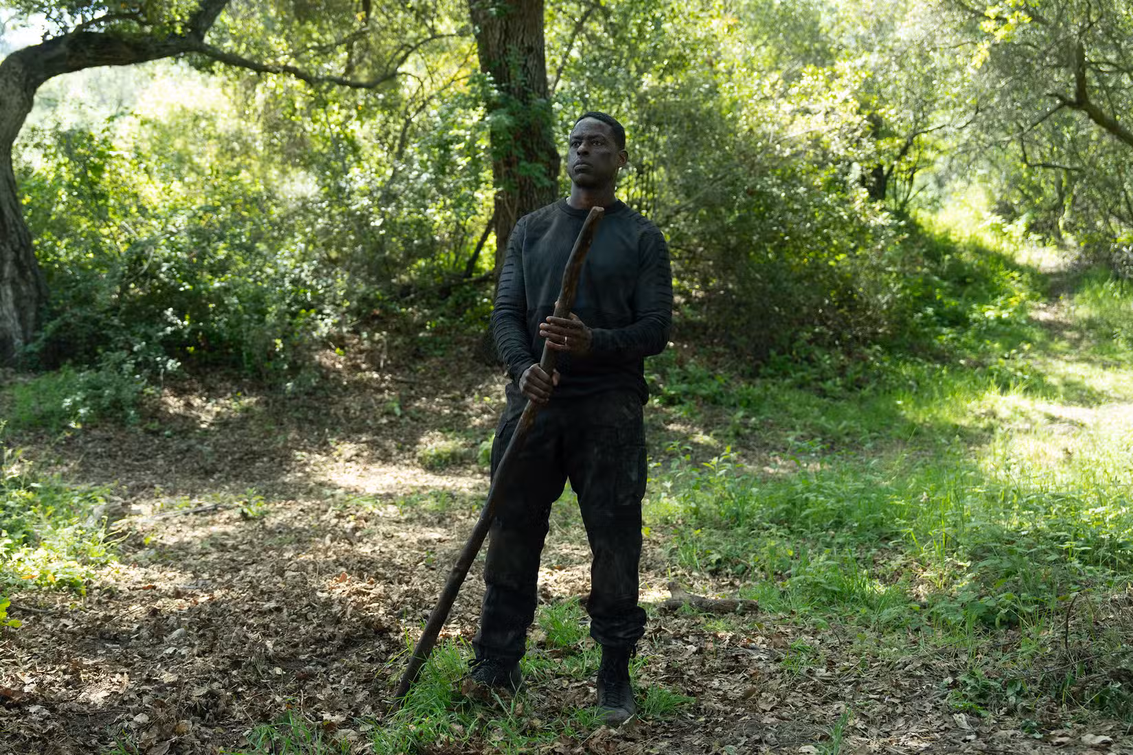 Paraíso temporada 2