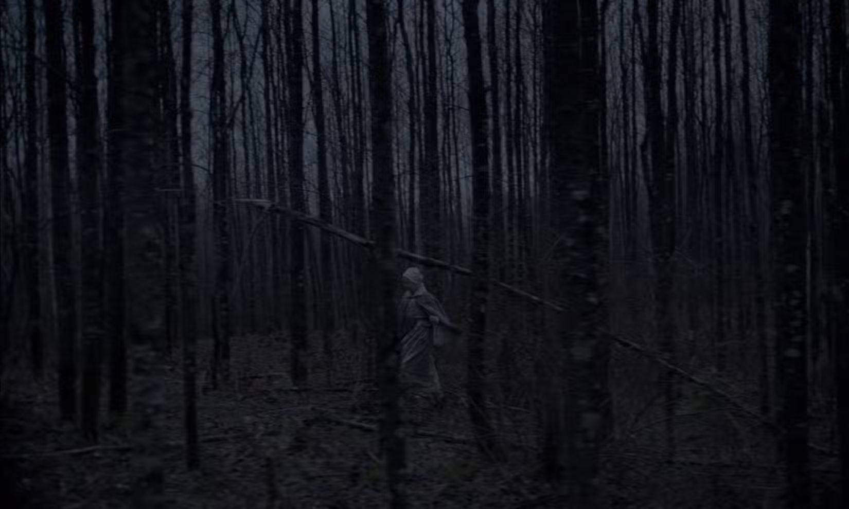 Uma cena ampla de Thomasin (Anya Taylor-Joy) caminhando pela floresta mal iluminada, parcialmente obscurecida pelas muitas árvores altas e finas, em uma cena de A Bruxa 