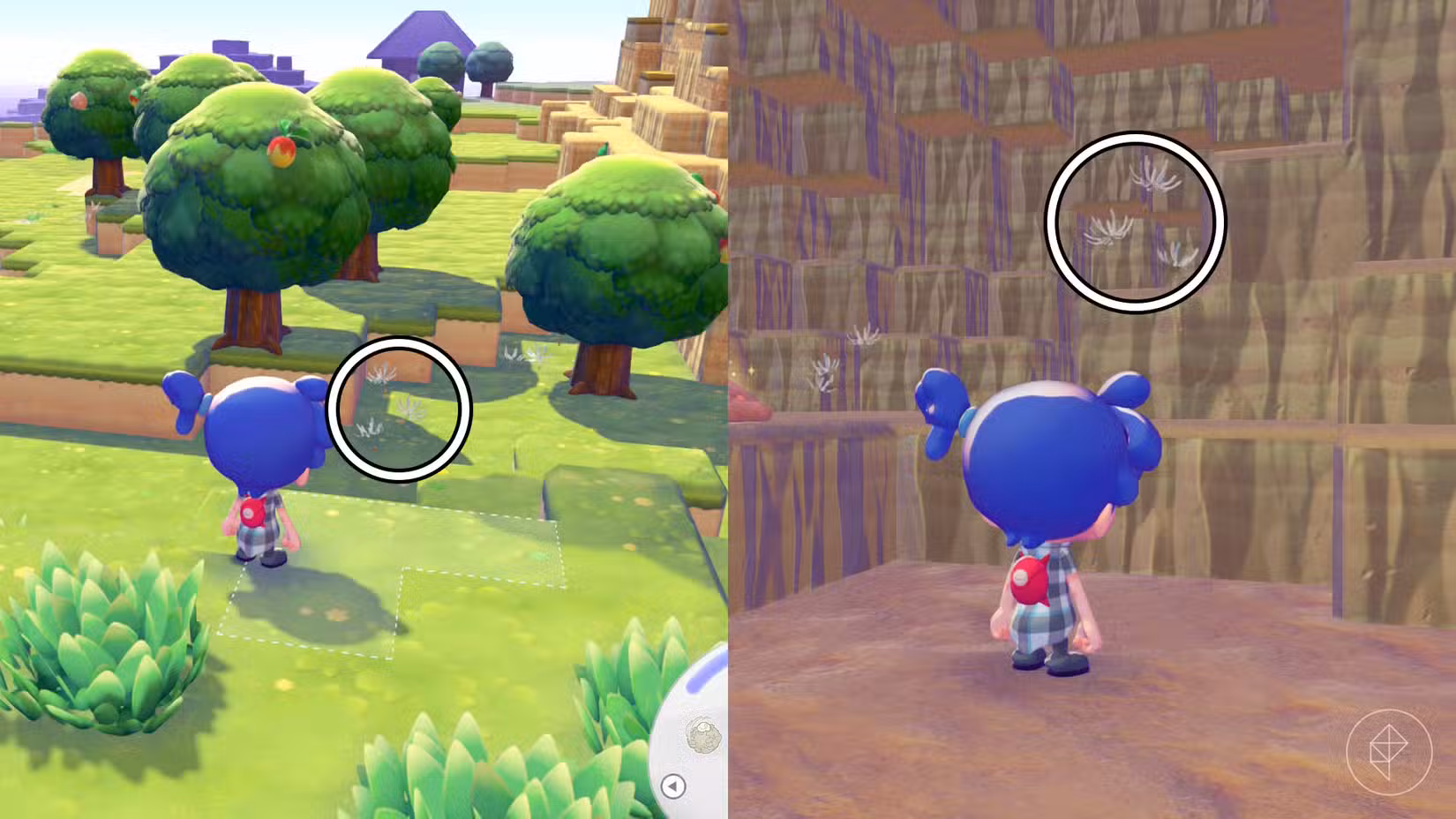 Uma montagem de duas capturas de tela do Pokémon Pokopia mostrando a localização de dois esporos de algodão