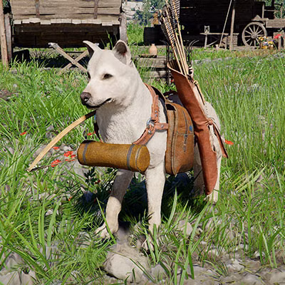 Um cachorro usando um arnês de couro com um arco e uma aljava cheia de flechas no Deserto Carmesim.