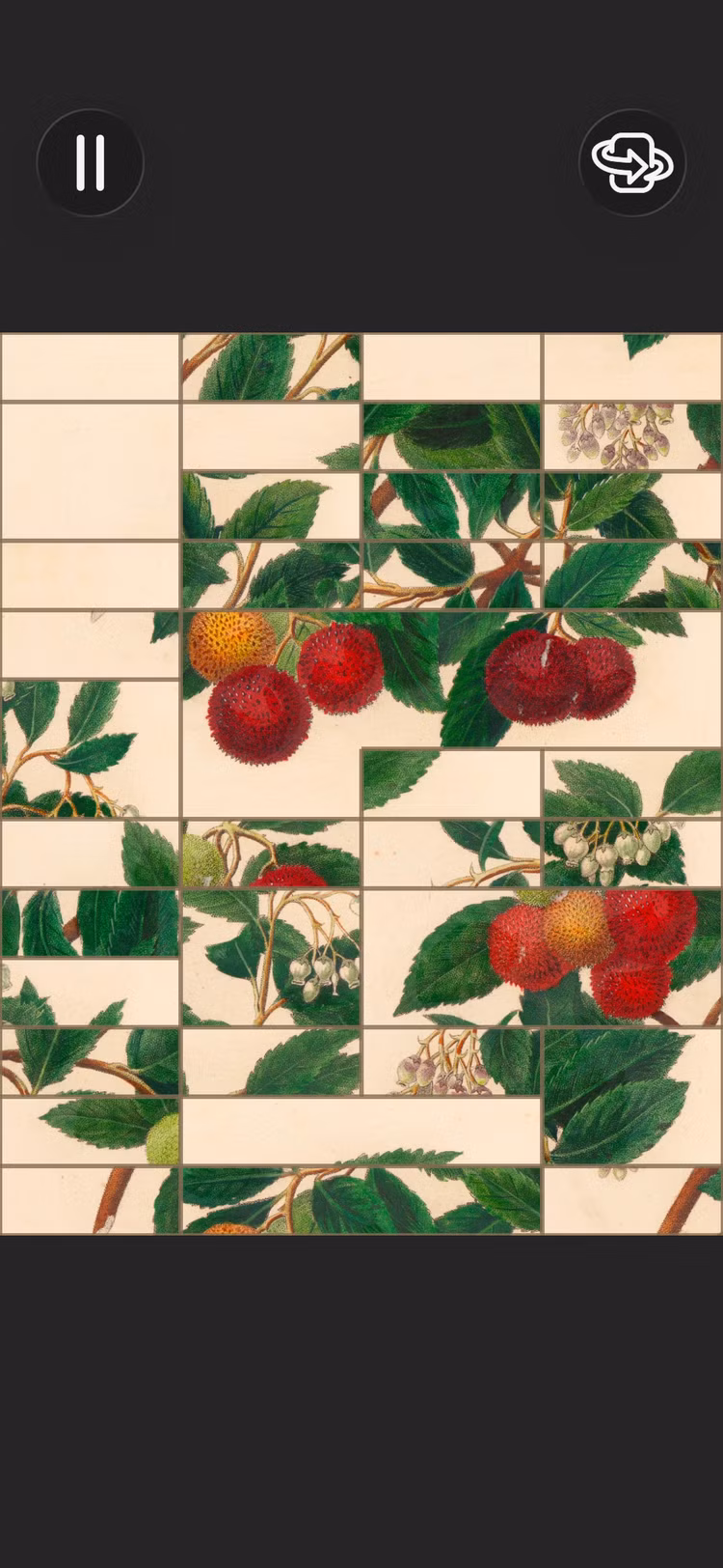 Um quebra-cabeça de plantas embaralhadas aparece em Art of Flora.