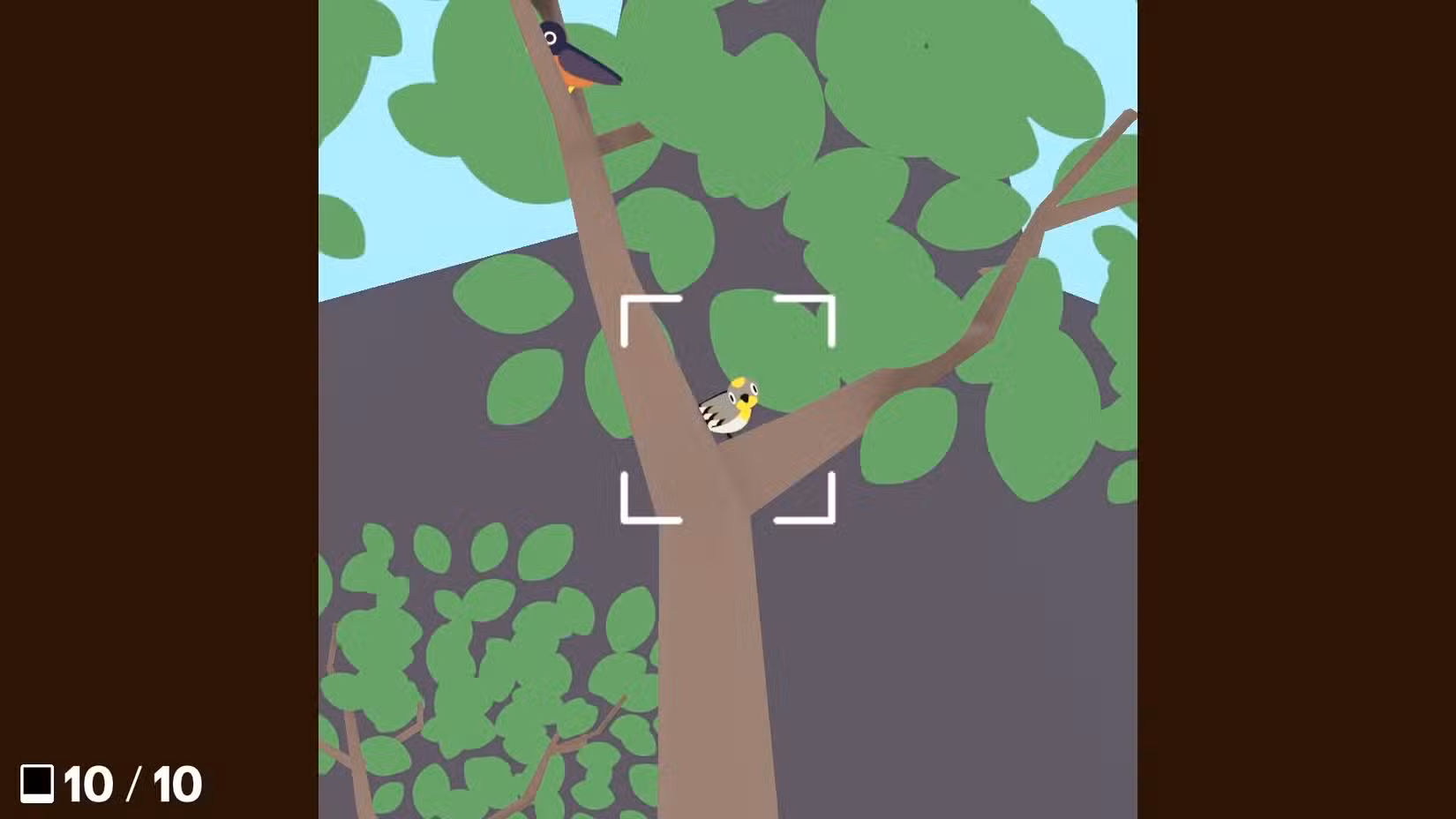 Um jogador enquadra um pássaro através de uma câmera em Flock Around.