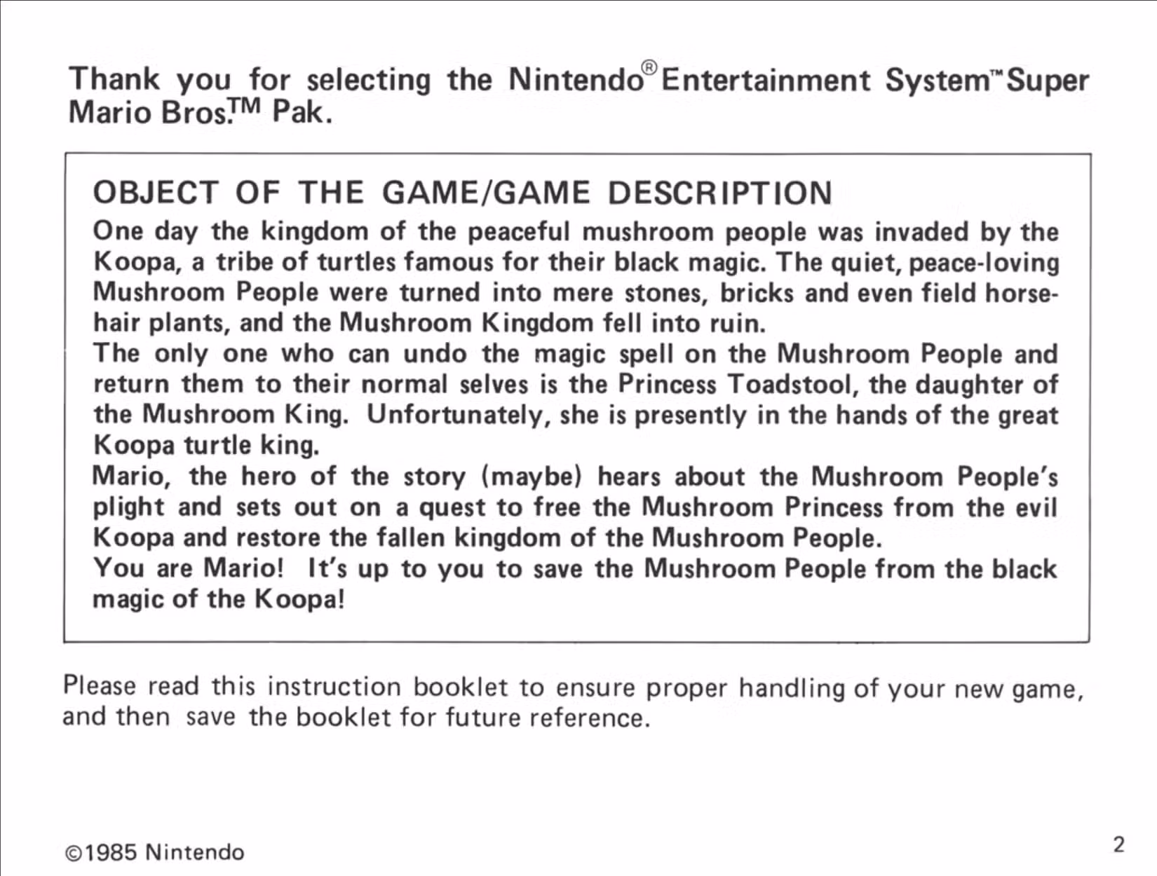 Uma captura de tela do manual do NES para Super Mario Bros.